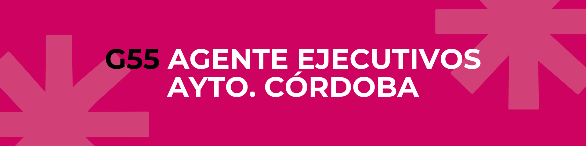 G55 AGENTES EJECUTIVOS AYTO CÓRDOBA
