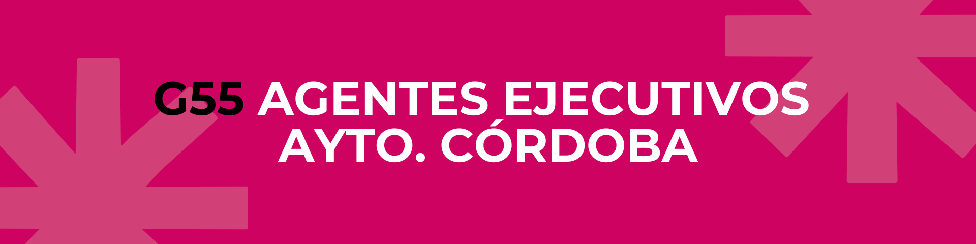 G55 AGENTES EJECUTIVOS AYTO CÓRDOBA