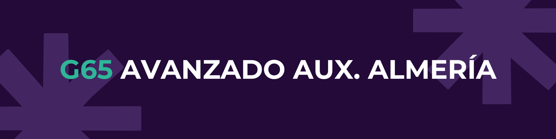 G65 AVANZADO AUXILIARES ALMERÍA 25